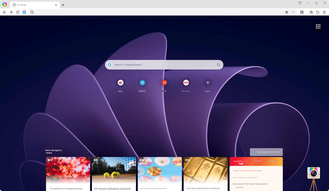 360 Browser Interface